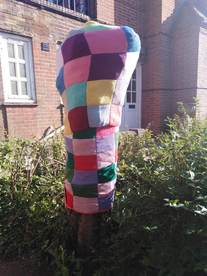 Tree Decorated with Knitted Scarf