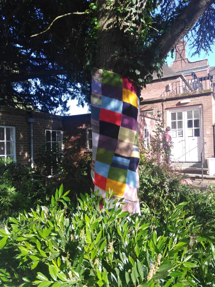 Tree Decorated with Knitted Scarf